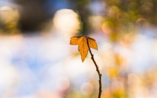 Blokker geurstokjes – geur en design in één