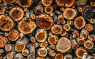 Welke kleur muur past bij een houten vloer?