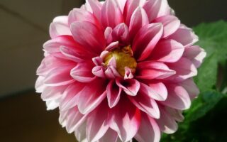 Industriële woonaccessoires die direct sfeer geven