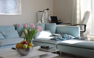 Action droogbloemen – trend van 2025 voor elk interieur