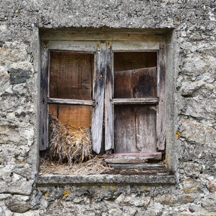 Action fotolijst collage – snel een sfeervolle wand