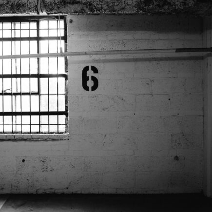 De beste planten voor een industrieel interieur