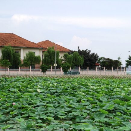 Action decoratieletters – persoonlijk accent in huis