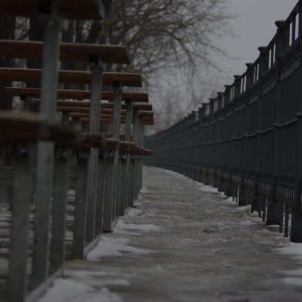 De populairste banken van dit jaar