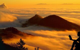 De mooiste fauteuils voor een gezellige zithoek