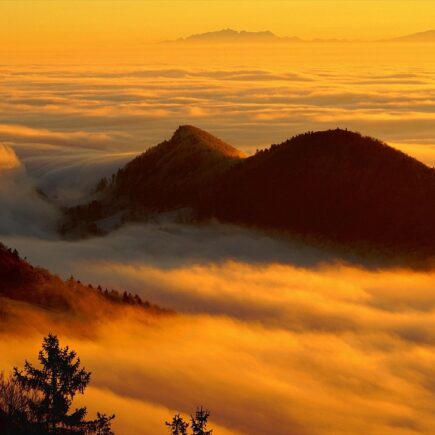 De mooiste fauteuils voor een gezellige zithoek