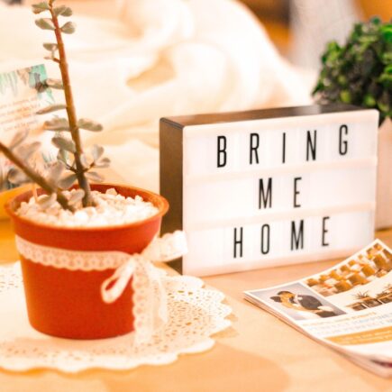 Hoe breng je contrast aan in een neutraal interieur?