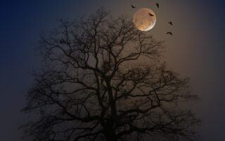 Lidl verlichting – betaalbare designlampen getest