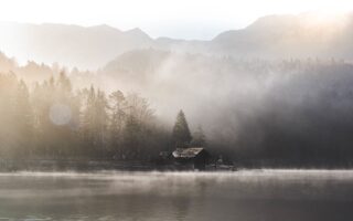Hoe gebruik je planten als natuurlijke scheidingswand?