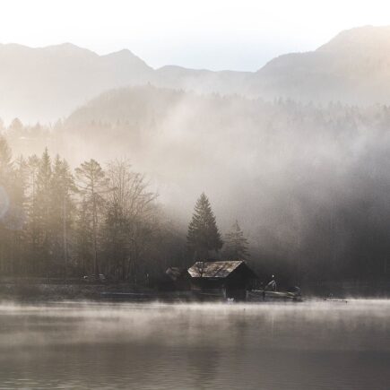 Hoe gebruik je planten als natuurlijke scheidingswand?