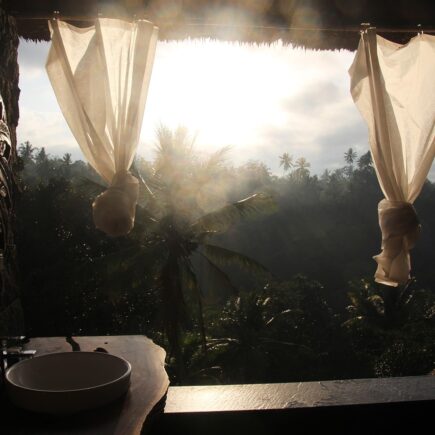 Welke planten passen in een badkamer?