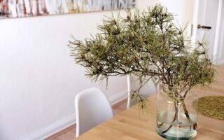 Duurzaam wonen in industriële stijl – kan dat samen?