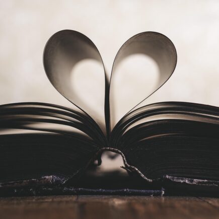 Action droogbloemen en vaas combinaties – budget inspiratie