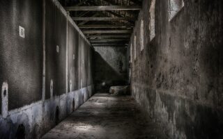 Wat zijn de voordelen van PVC vloeren?