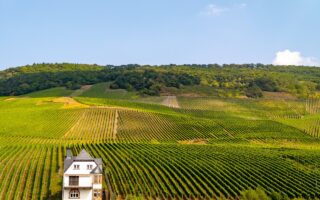 Welke kleuren maken een ruimte frisser en groter?