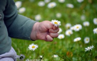 Welke meubels kies je voor een kleine studio?