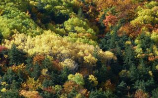 Hoe breng je sfeer met warme tinten?