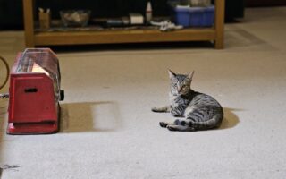 De toekomst van duurzaam verwarmen: warmtepompboilers