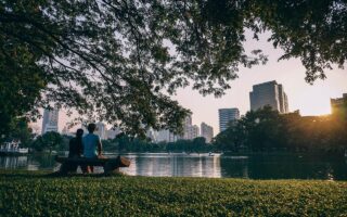 Hoe gebruik je natuurtinten voor rust in huis?