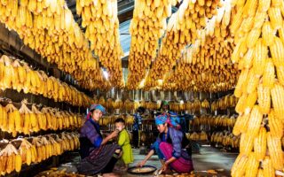 Blokker tafeldecoratie – feestdagen inspiratie