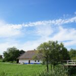 HEMA vazen en droogbloemen – perfecte combinatie