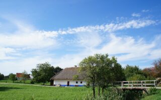 HEMA vazen en droogbloemen – perfecte combinatie